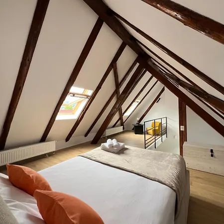 Villa Blumana House Brasov